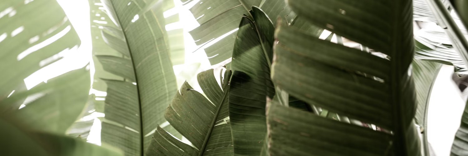 🌿FERN🌿's banner