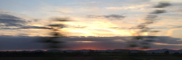 MccarthyNeill Profile Banner