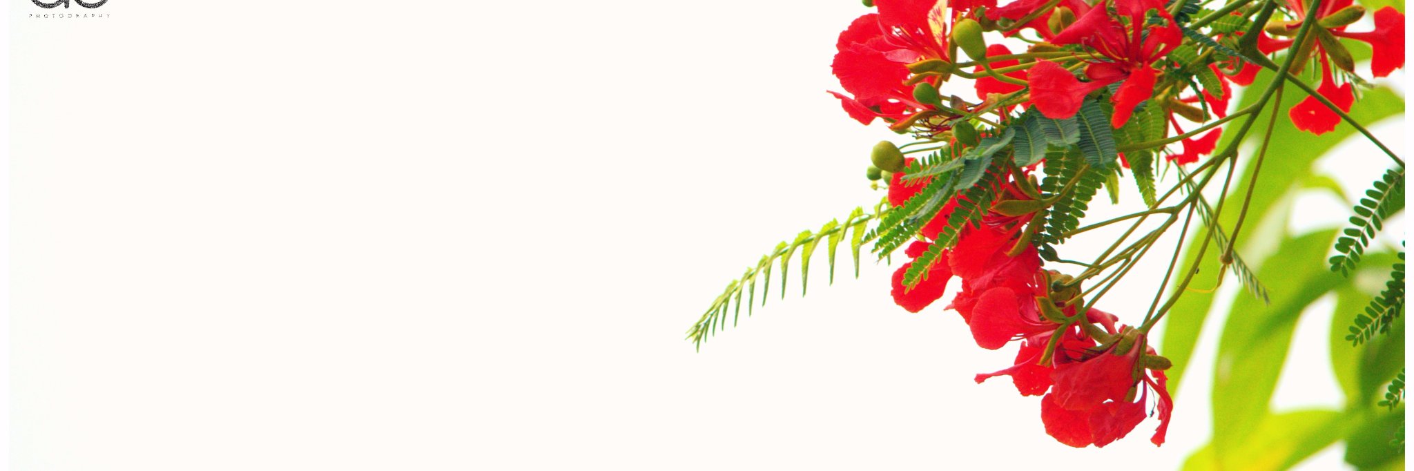 aruncna100's profile banner image