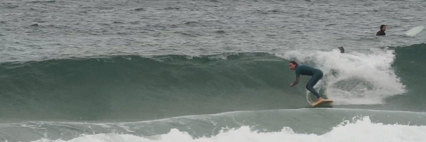 EllieRibbits's profile banner image