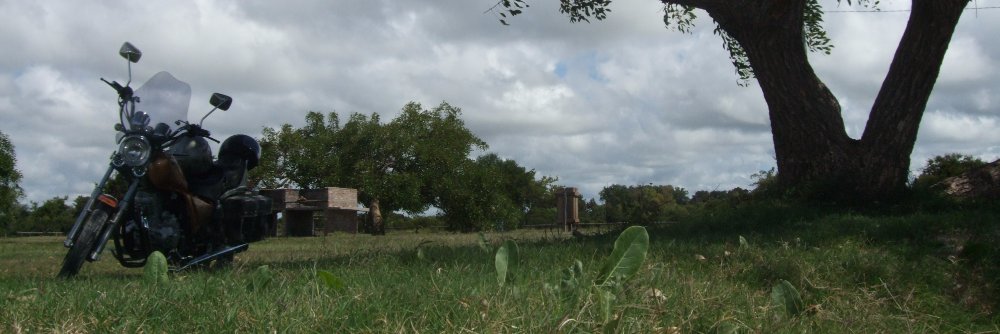 PanteraFiel's profile banner image
