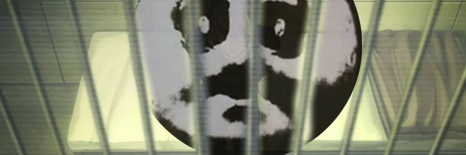 vizca banner