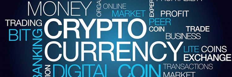 Cryptodocus123's profile banner image