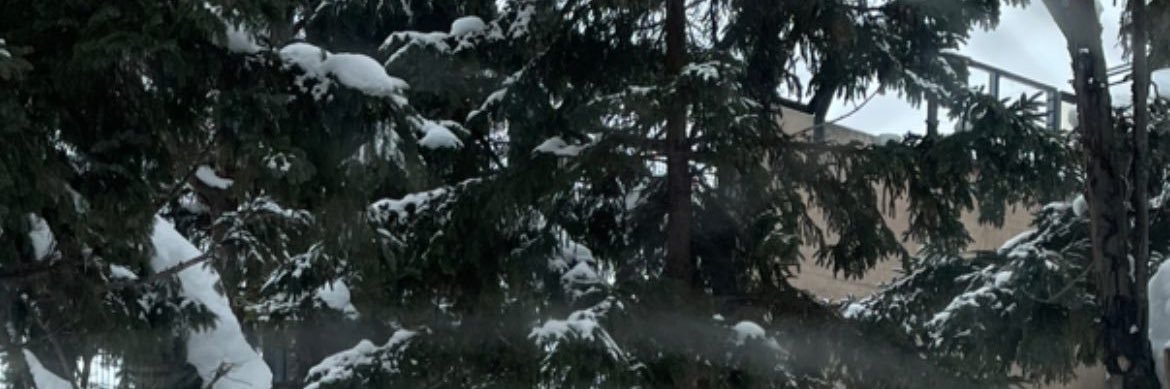 fbsero8's profile banner image