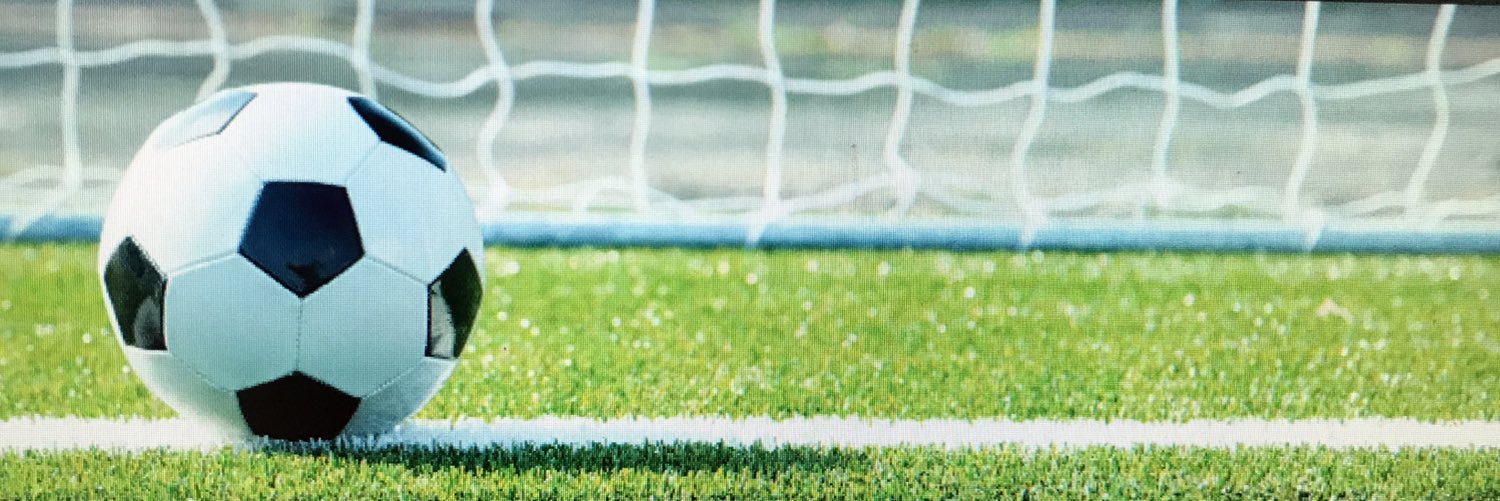 OLu Girls Soccer banner