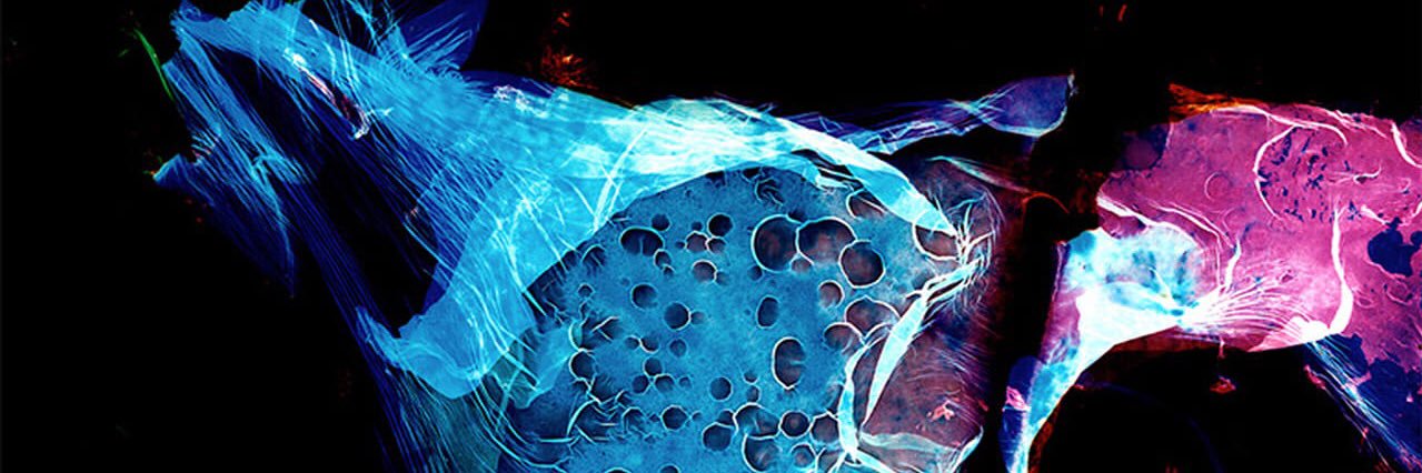 giuliazerbini's profile banner image
