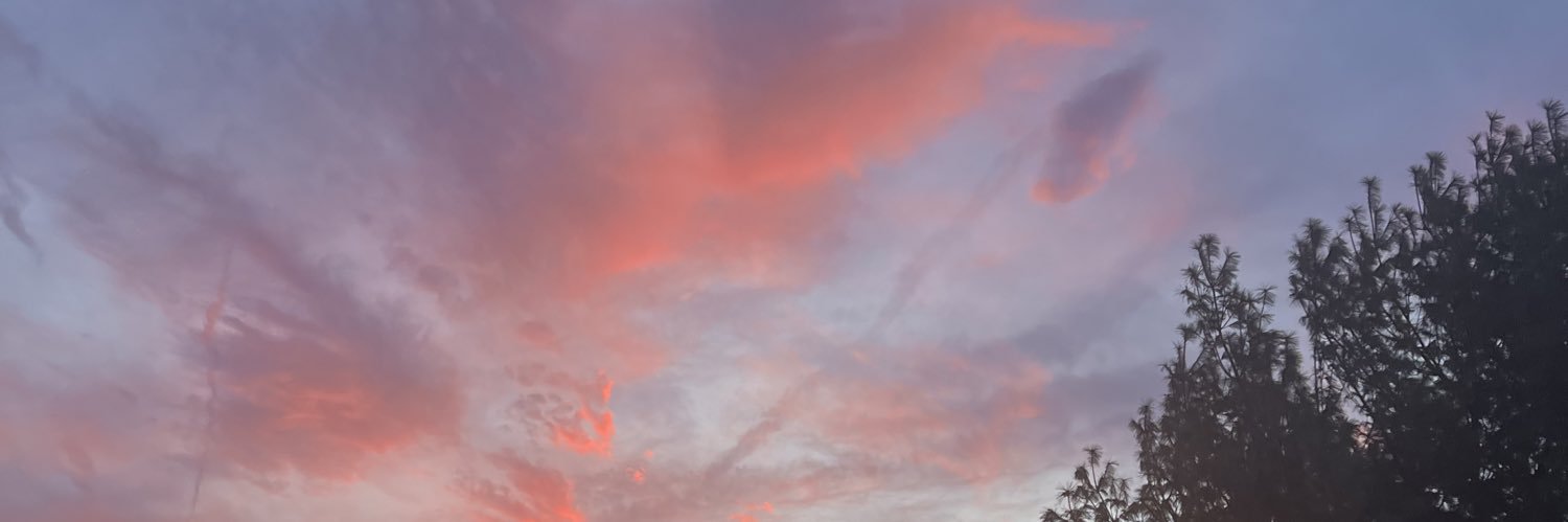 Lisa VanHara banner
