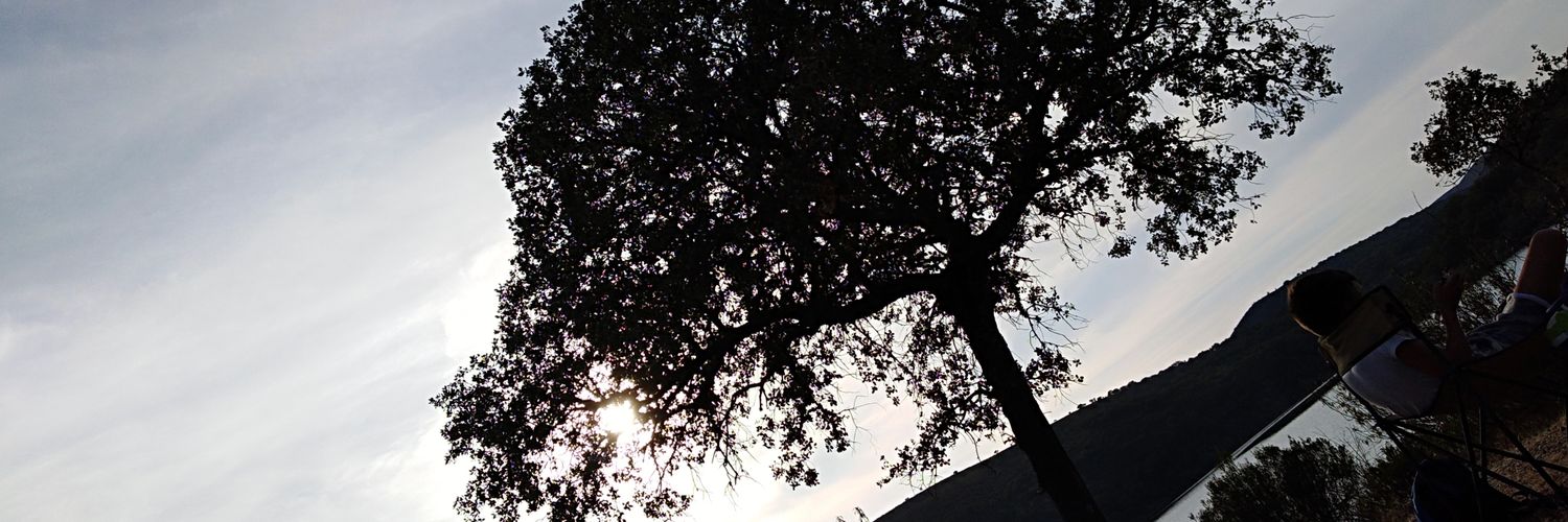 ScienceLurker's profile banner image