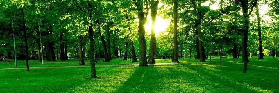 faxlessloanspay's profile banner image