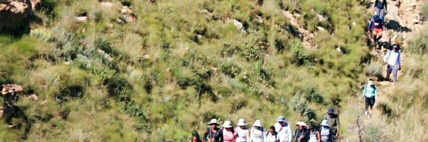 @Sebele Pilane banner