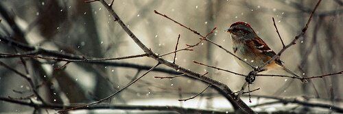 Baran523's profile banner image