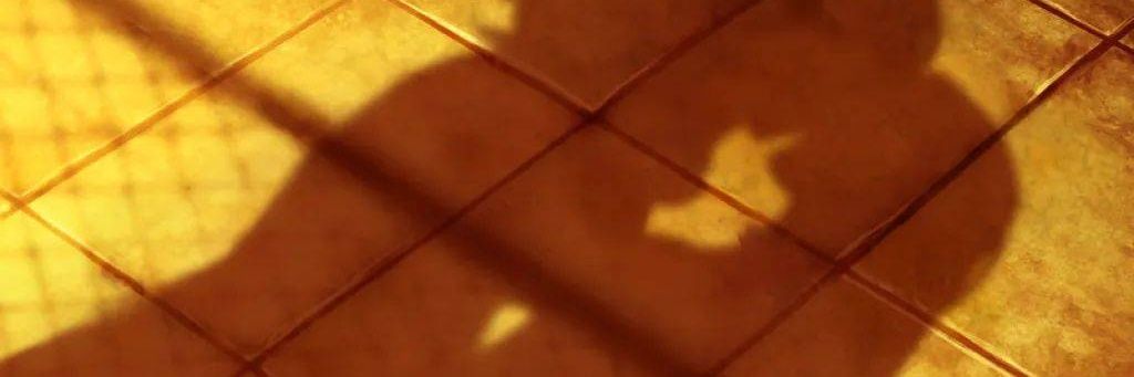 dlsc152's profile banner image