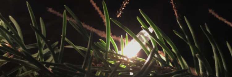 DeringerEmily's profile banner image