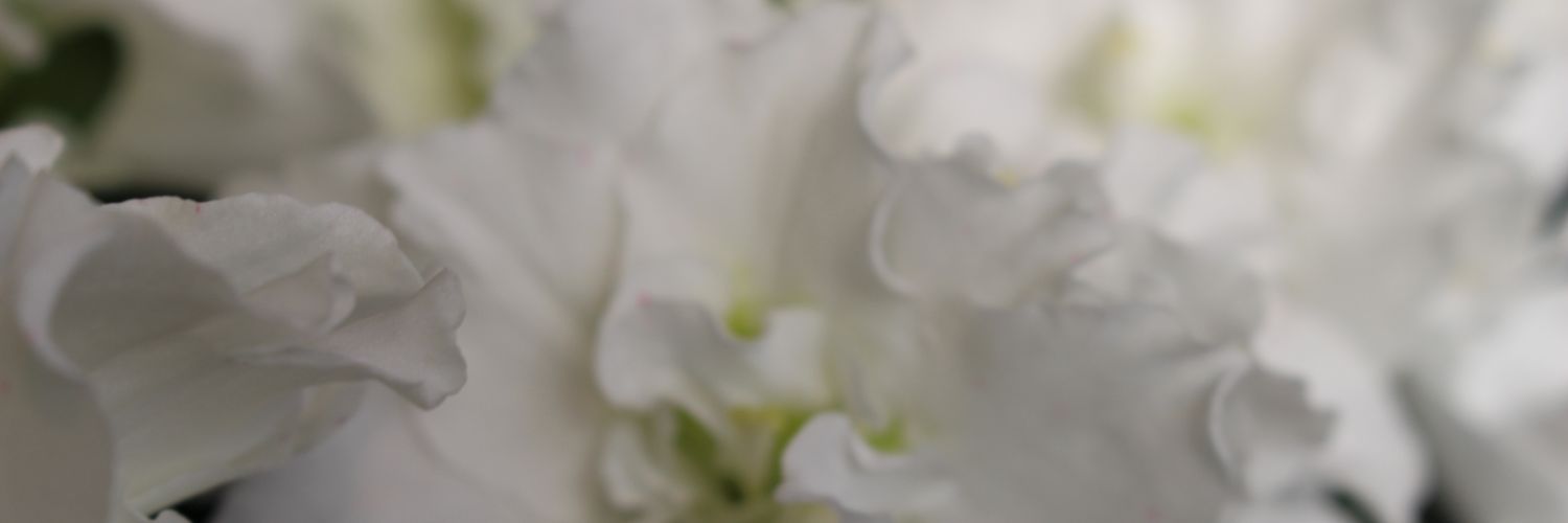 lait_ti's profile banner image