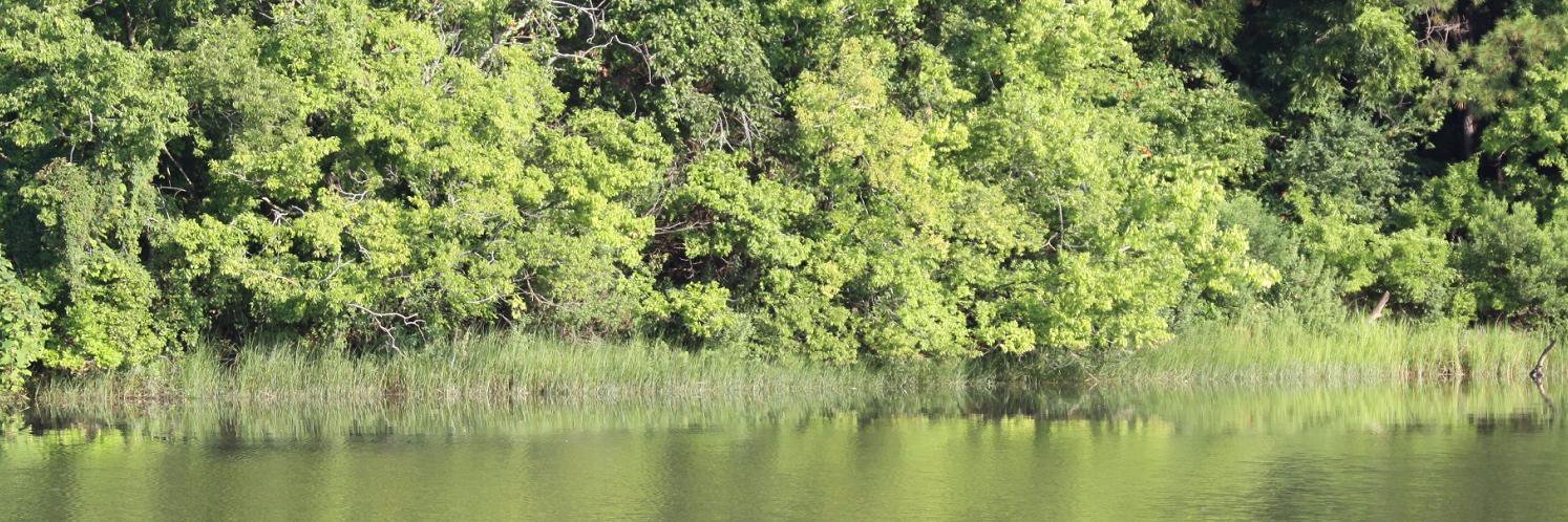 Karen Streeter banner