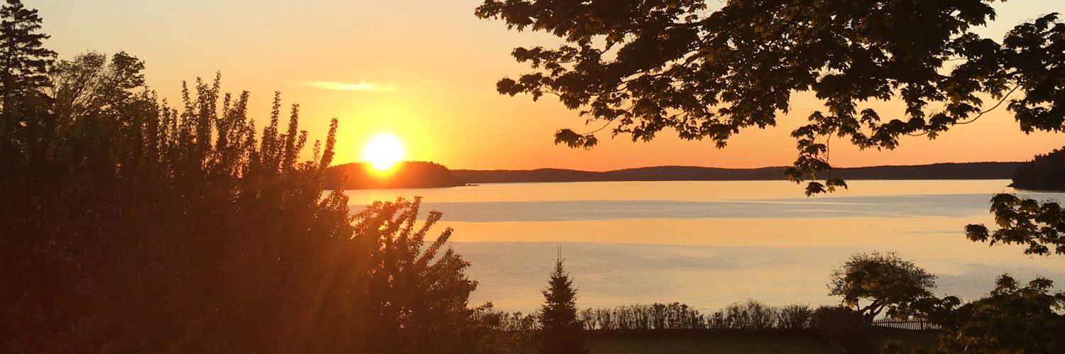 Paul Turlington banner