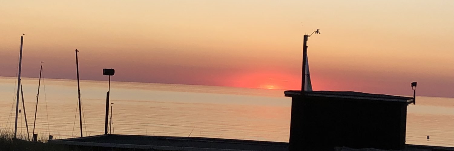 ickedolphin's profile banner image