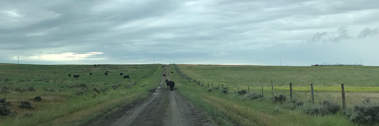 Michaela Leung banner