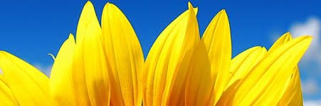 友杉悠【障害児ファミリーサポーター】 banner