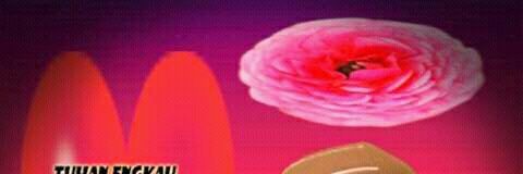 MELCKY16's profile banner image