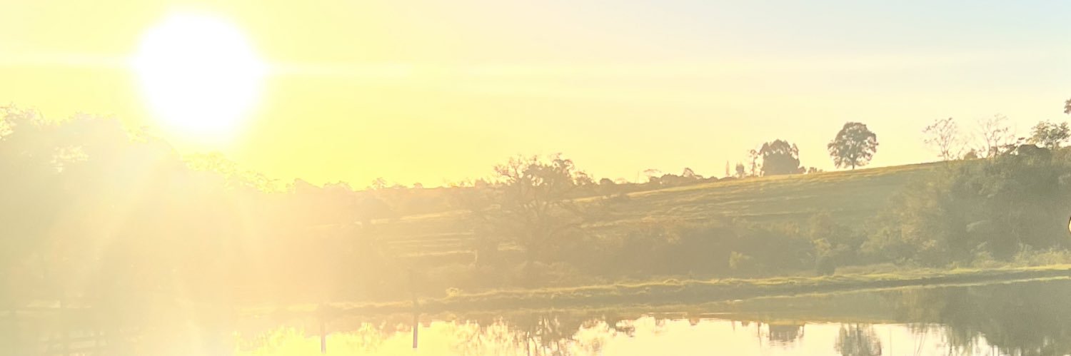 leticoisa's profile banner image