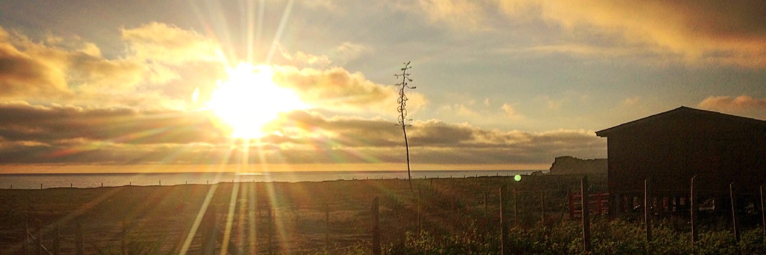 felipeguinezm's profile banner image