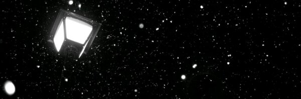 blacksheep_inn Profile Banner
