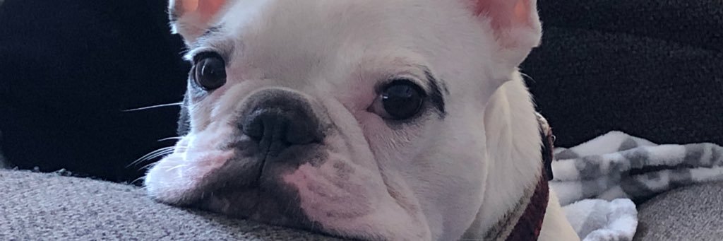 FenderBender307's profile banner image