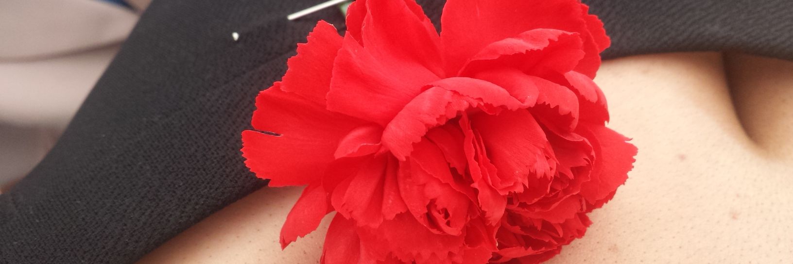 Tracy Simm  💋 banner