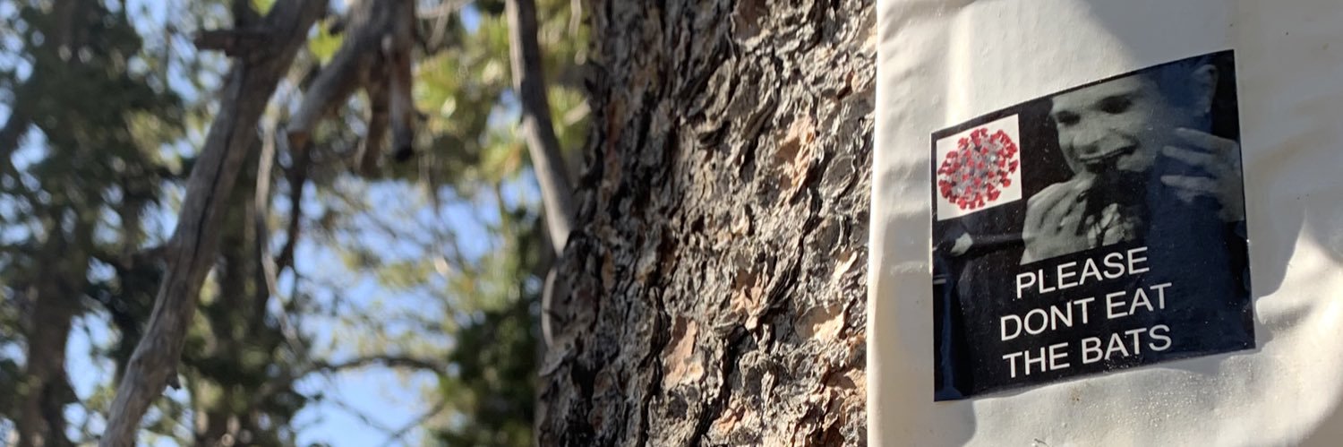 evangroll_'s profile banner image