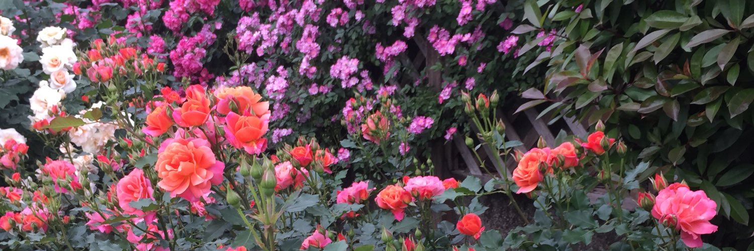sumidaman's profile banner image