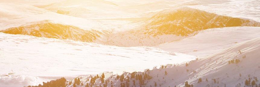 davidFRIEDRlCH's profile banner image