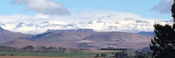 lvdm3 Profile Banner