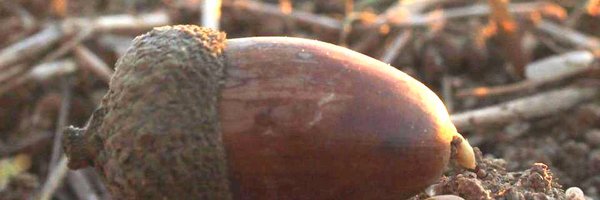 arba_litoral Profile Banner