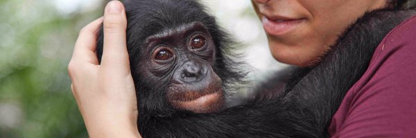 AlePrampolini Profile Banner