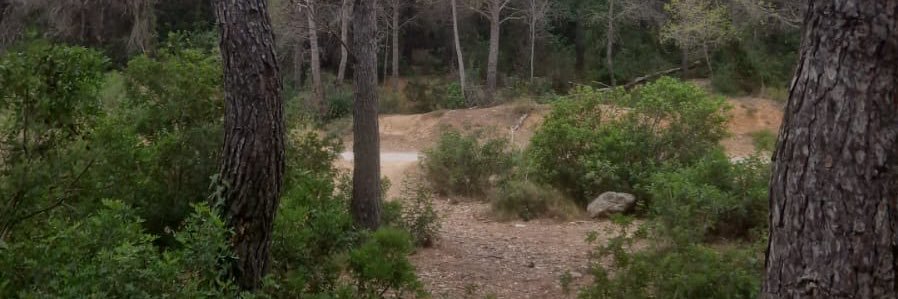 Cruisingcumdump 🐽💦 banner