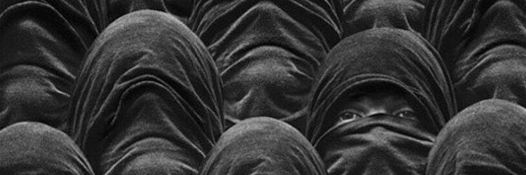 مِستِر فاکس🇮🇷 banner