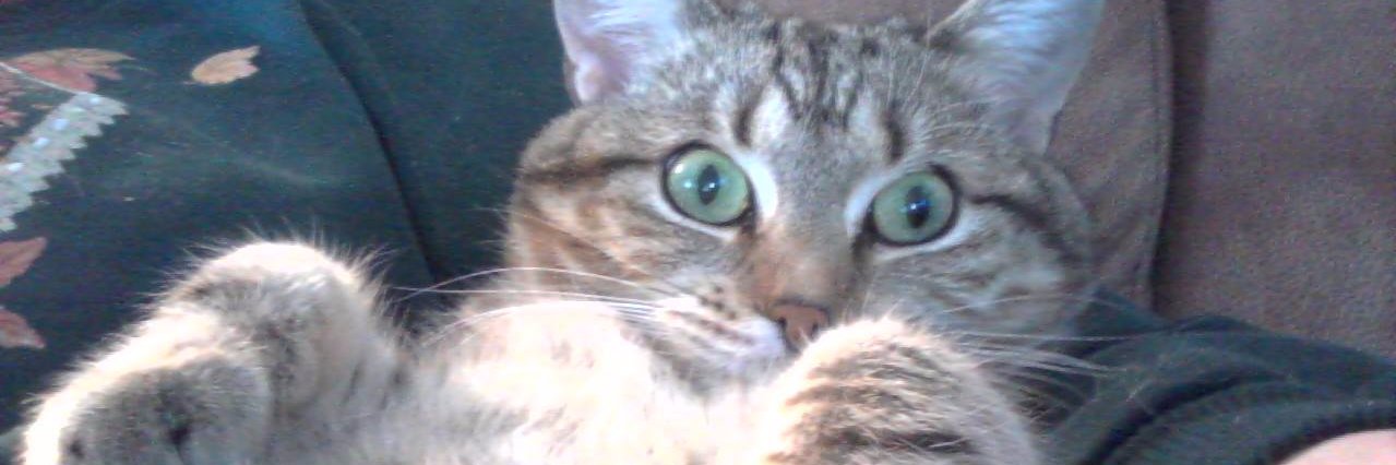 Kathie L.🩵🩵🩵🩵🩵🩵🩵🩵 banner