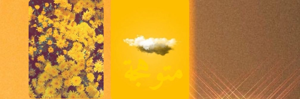 199_shoi's profile banner image