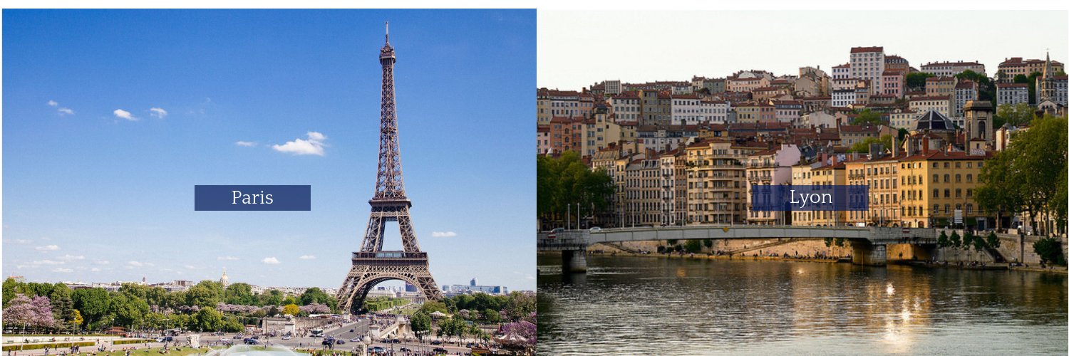 Neovian Partners banner