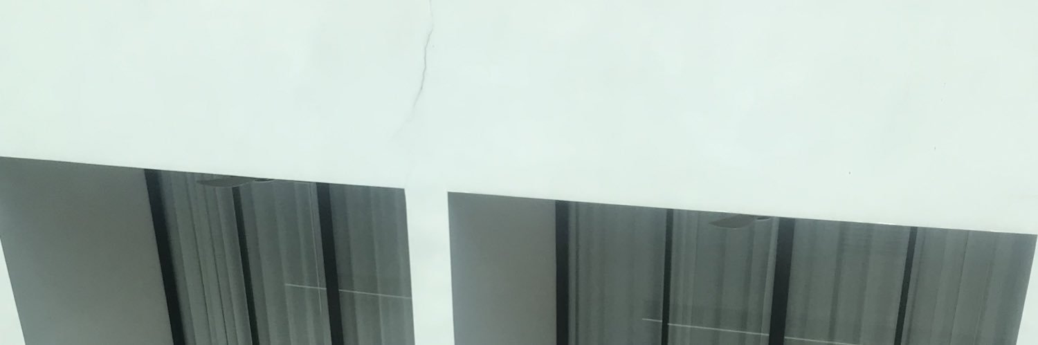 pteridotie's profile banner image