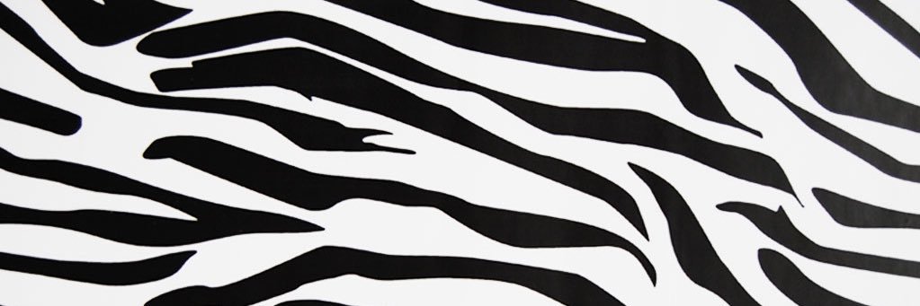 sophjayne__'s profile banner image
