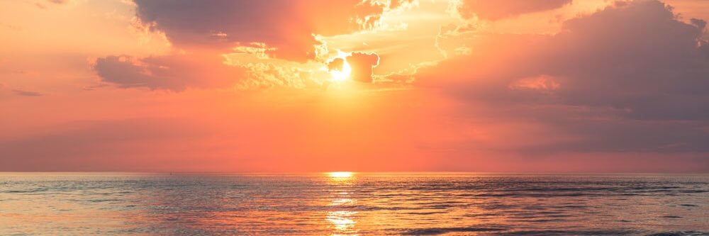 Lisa Lippincott banner