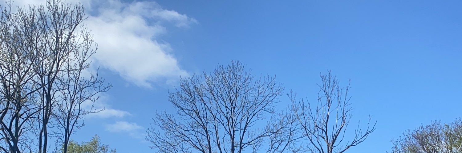 NimanimOFFICIAL's profile banner image