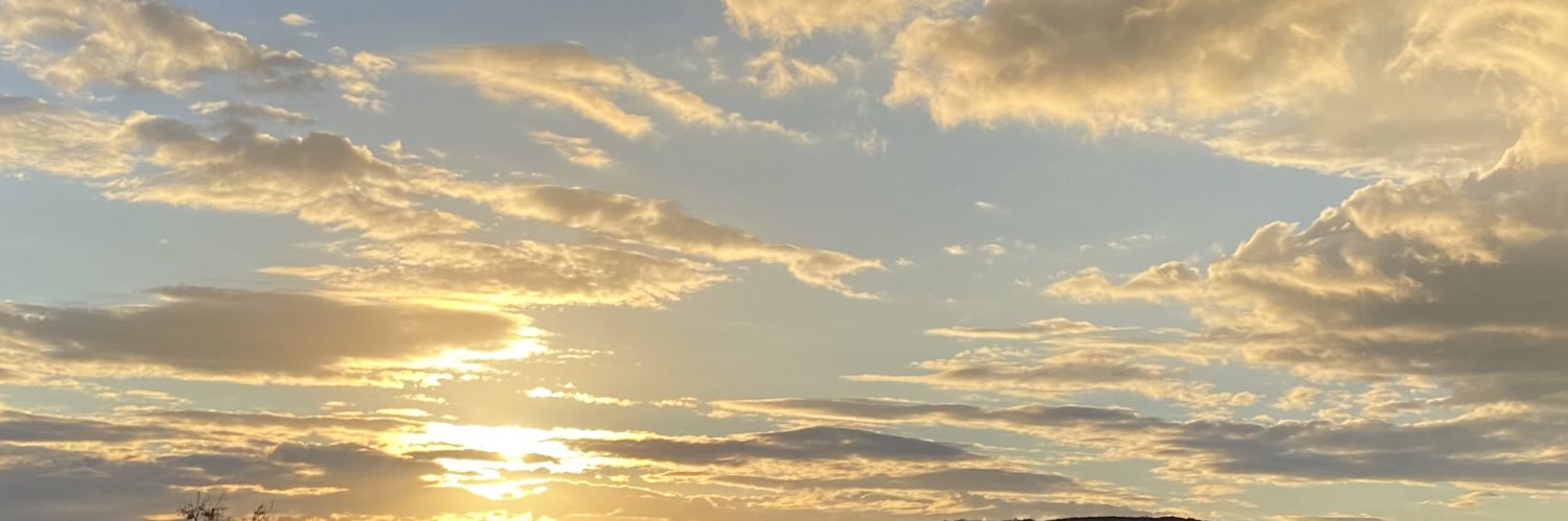 pınar banner
