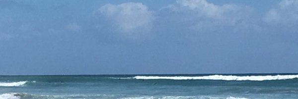 DRizzattiPBCSD Profile Banner