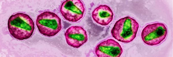 MonicaReece Profile Banner