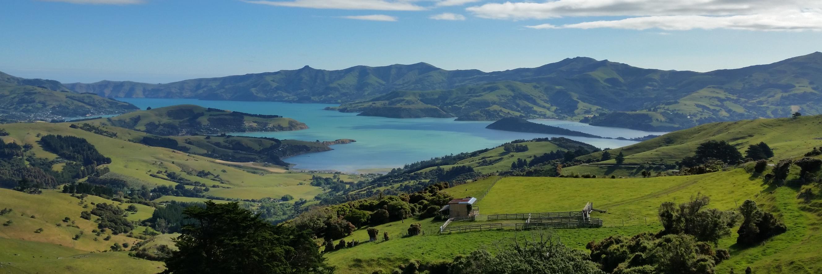 Franck Le Ouay banner