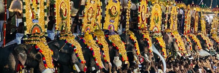 Aparna1_t's profile banner image