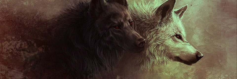 Wolfii aka. measdasd banner